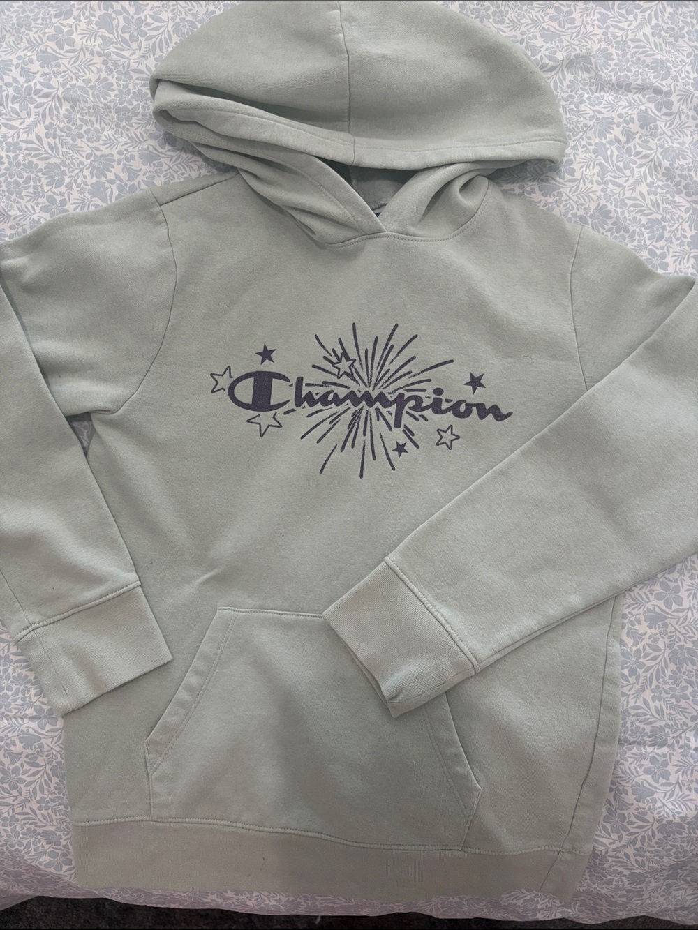 Champion Sage Green Hoodie with Navy Firework Logo